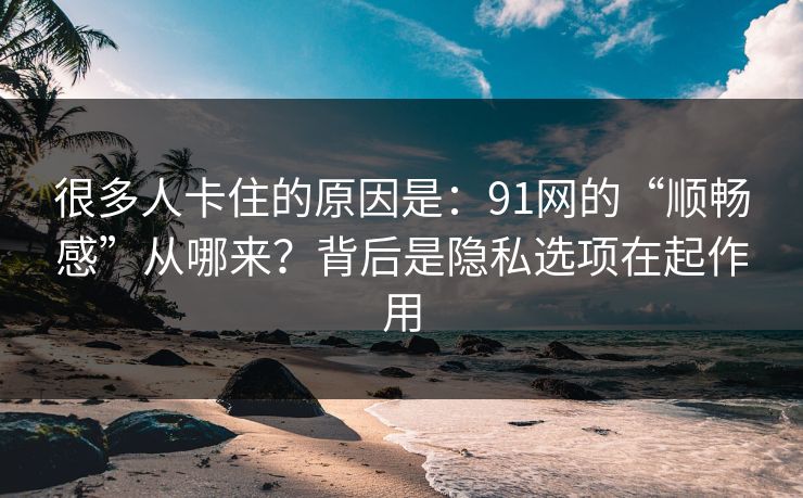 很多人卡住的原因是：91网的“顺畅感”从哪来？背后是隐私选项在起作用