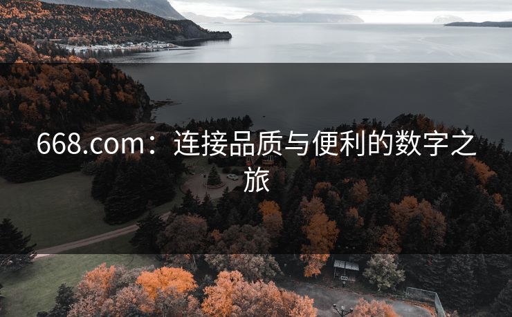 668.com：连接品质与便利的数字之旅