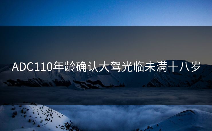 ADC110年龄确认大驾光临未满十八岁